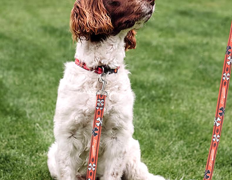 Polyester Printed Dog Leash with Logo - Explosion-Proof, Large Dog Traction Rope