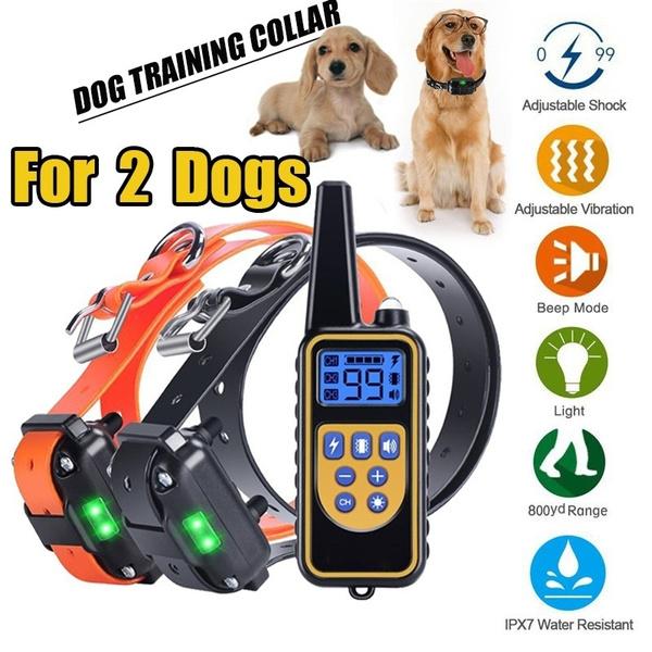 distance shock collar