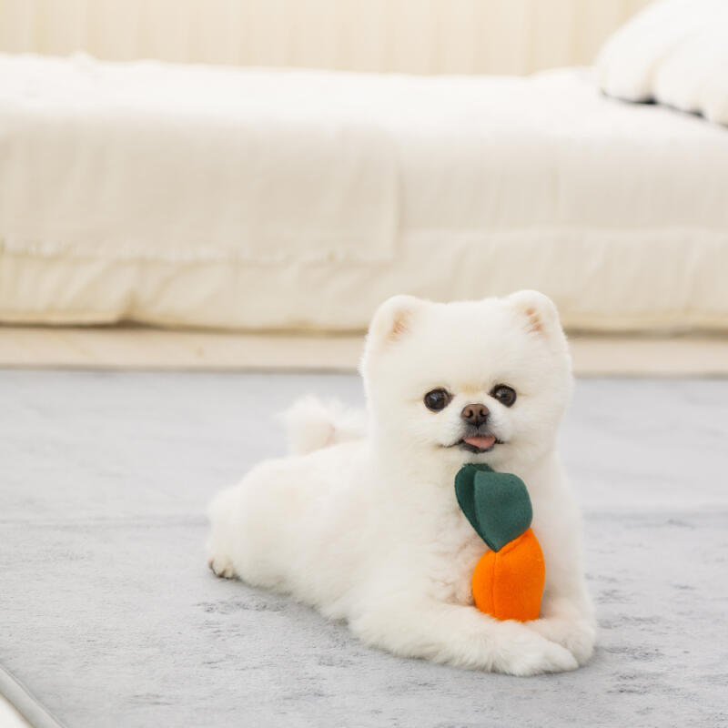 Hund Nasearbeit Große Decke mit Karottenfleck-Spielzeug 80x60