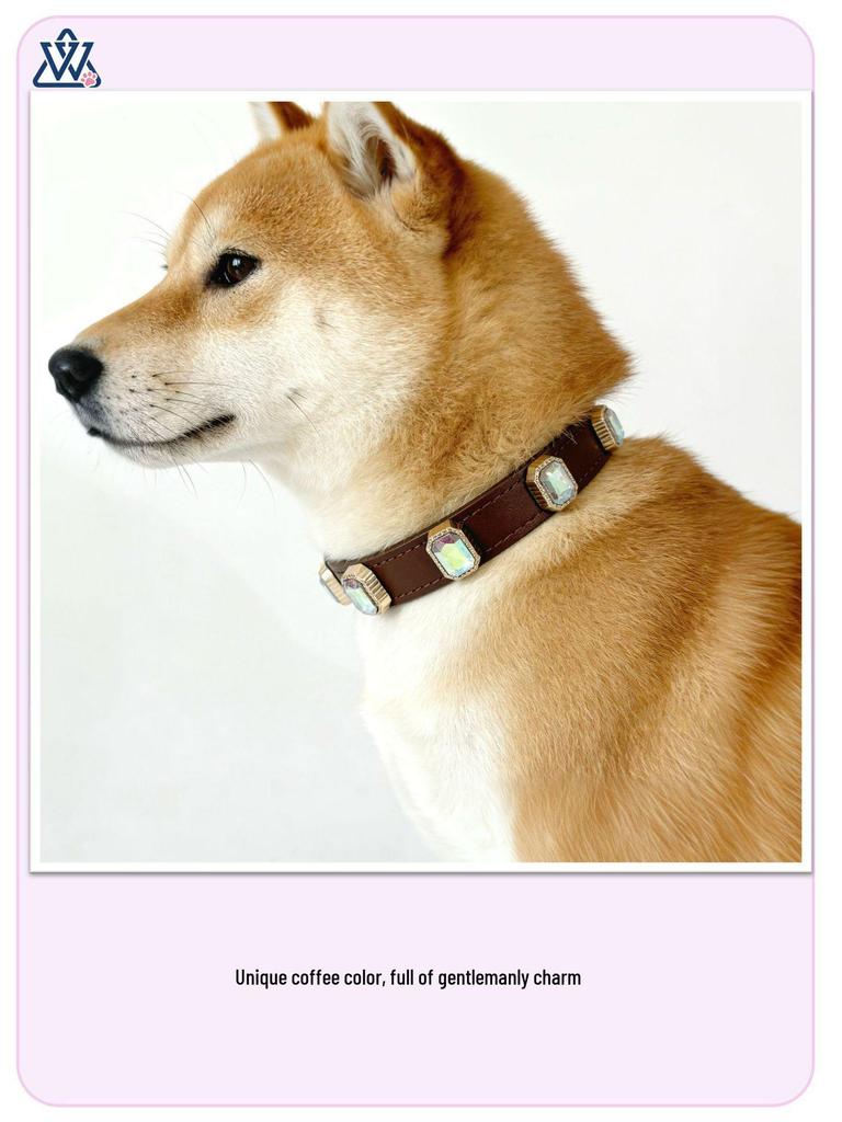 Rhinestone Pet Collar Set: High-End Leather Collar & Leash for Large Dogs