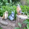 6Pcs/Lot Adorable Resin Miniatures - Create A Charming Fairy Garden with These Lovely Bird Figurines Home Decoration Accessories