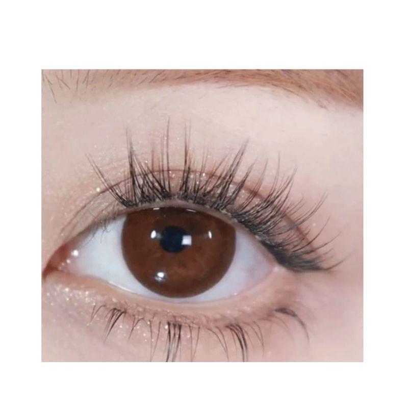 denivyse - Individual Cluster False Eyelashes (Various Designs)