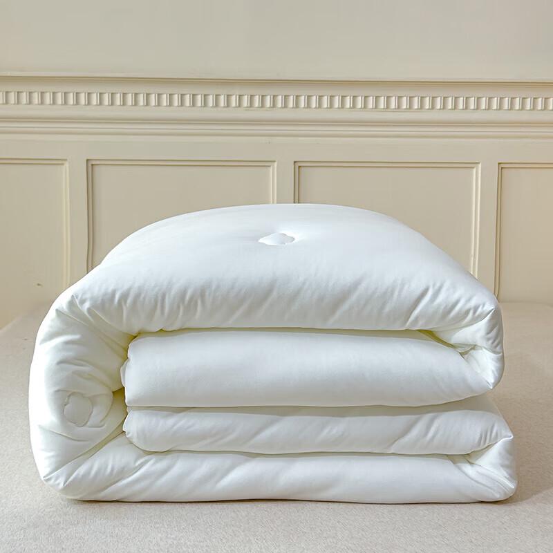 Muji Milk Silk Soft Quilt