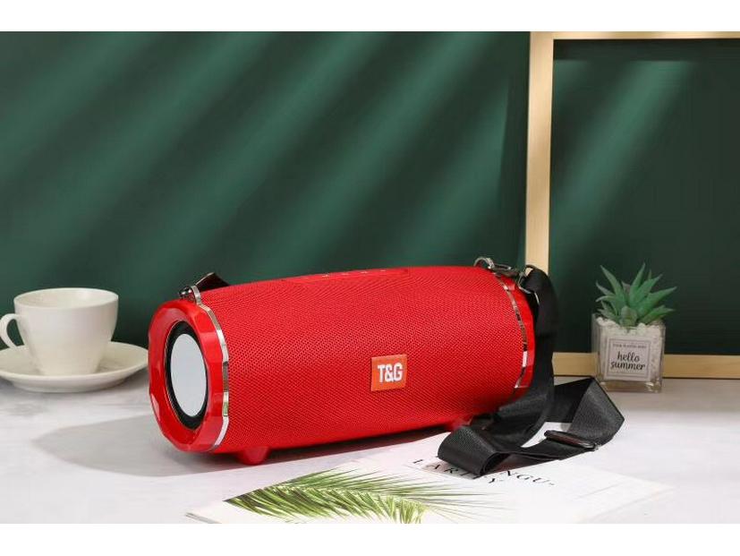 TG187 Wireless Bluetooth Outdoor Speaker - Dual Diaphragm, Portable Subwoofer with Card Call Function