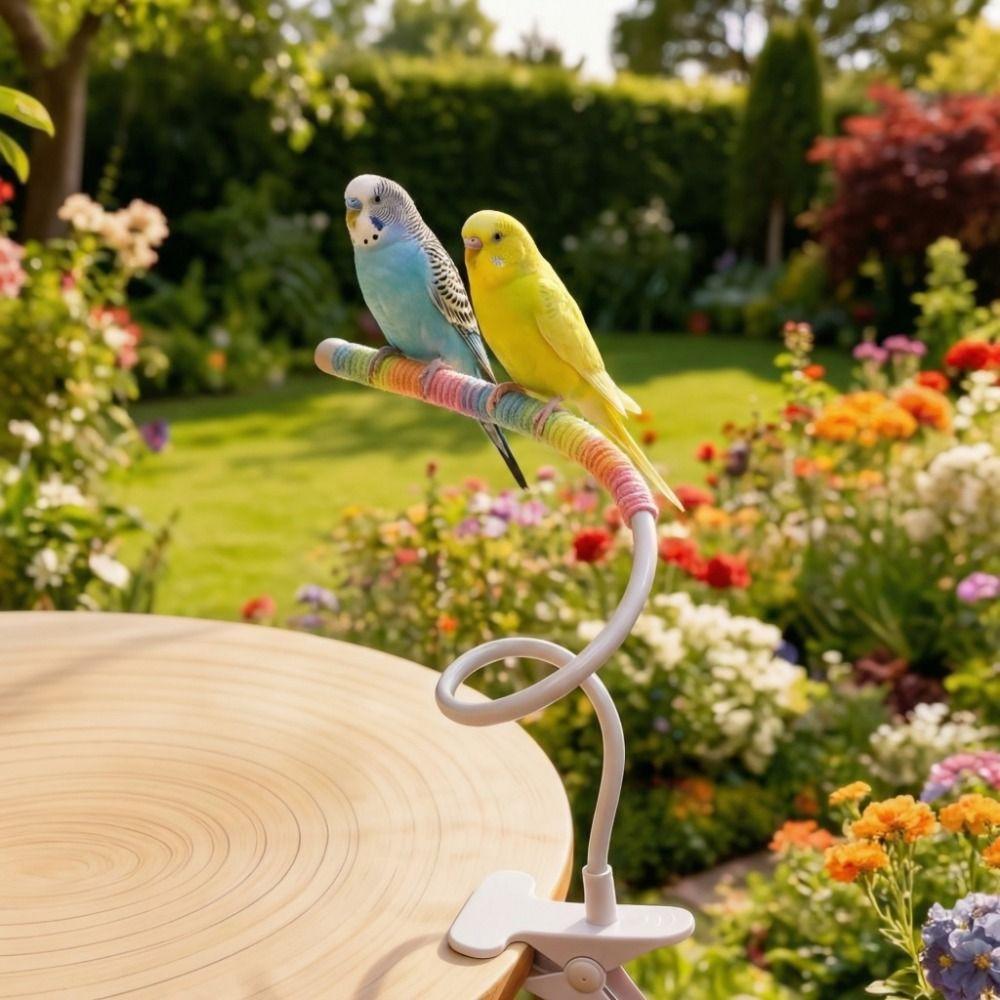 Wear Resistant Desktop Bird Perch Stand Bite Resistant Parrot Training Stand  Bird Training