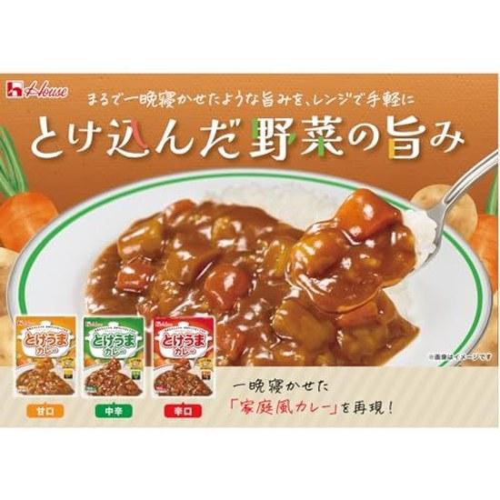 House Tokeuma Curry Spicy 170g 10 Pieces Microwave Compatible Retort Food Emergency