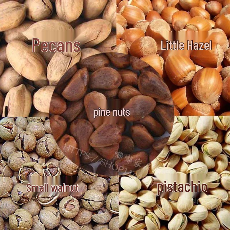 Многофункциональная бамбуковая орехокол