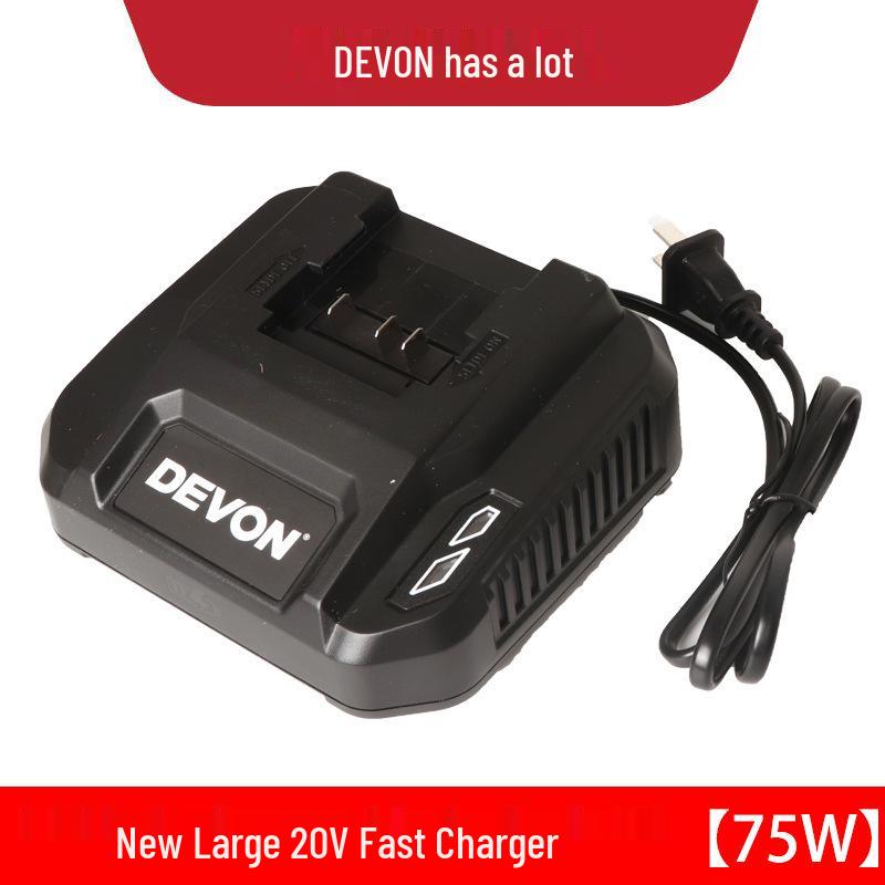 Dayou Lithium Battery Fast Charger 