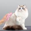 Cat Grooming Comb Dog Bath Brush Pet Grooming Shedding Soothing Massage Rubber Bristles Comb with Adjustable Ring Handle Tools