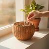 Tea-Brown Woven Organizer Tabletop Round Belly-Shaped Basket Rustic