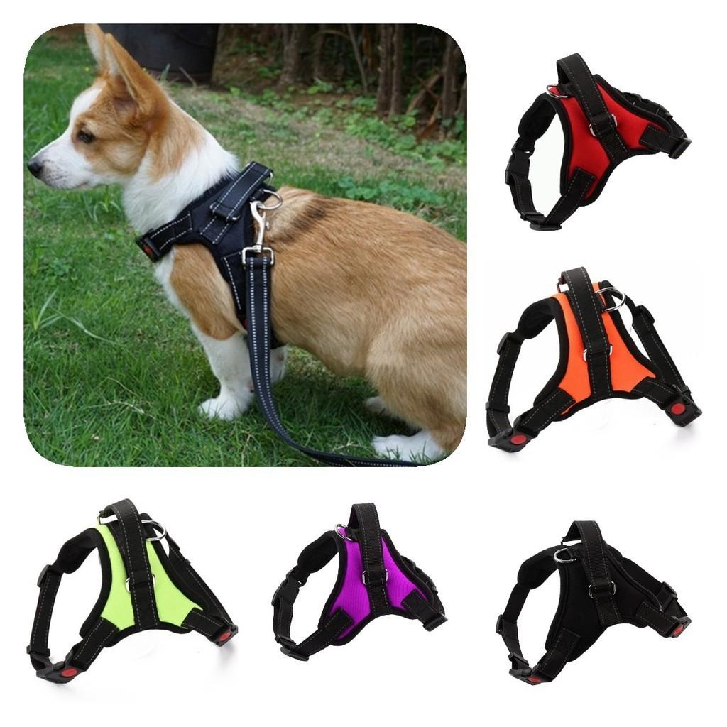 Small And Medium-sized Dog Harness Easy To Put On And Take Off With Adjustable Straps