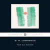 The Rainbow by D. H. Lawrence Paperback Book 9780141441382