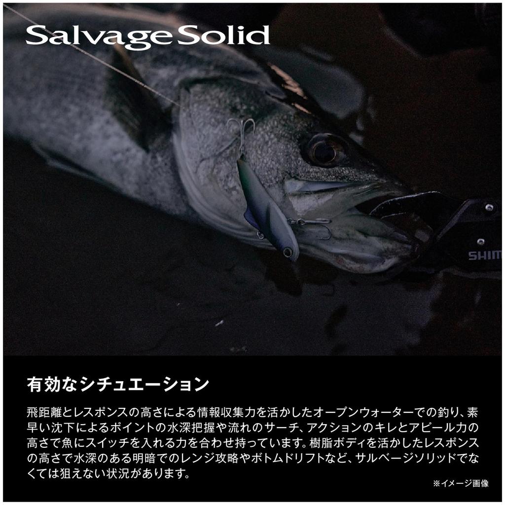 SHIMANO Exsence Salvage Solid 60ES Kyorin Silver 016 Sea Bass Saltwater for and Saltwater XV-260R Lure, Plug, Rivers, Surf, Embankments,