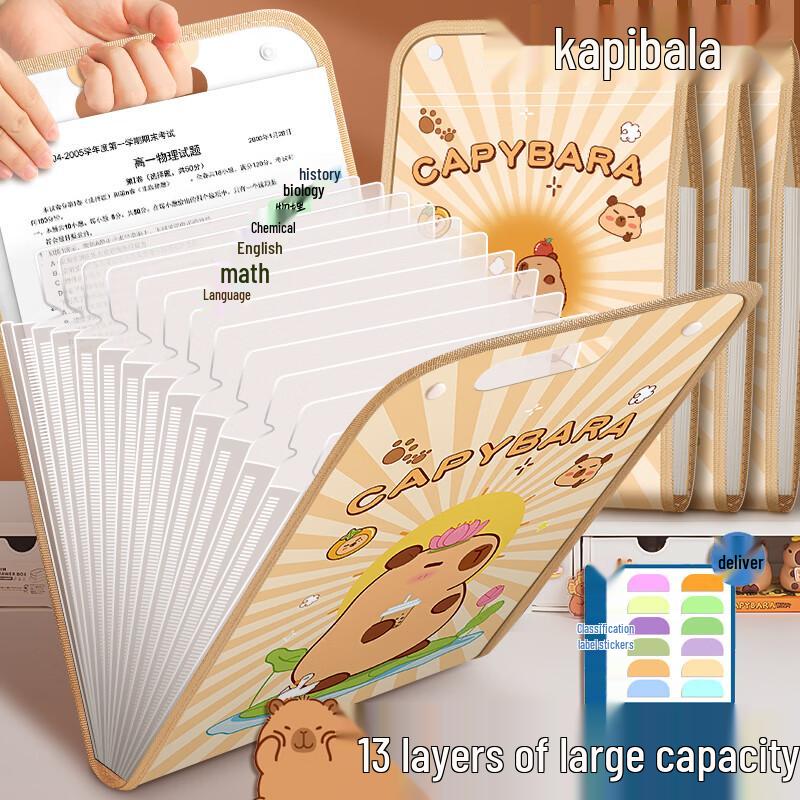 Portable A4 Accordion File Folder & Document Organizer