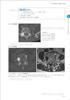 First of All, Let's Start with the Basics: Spinal Imaging Diagnosis