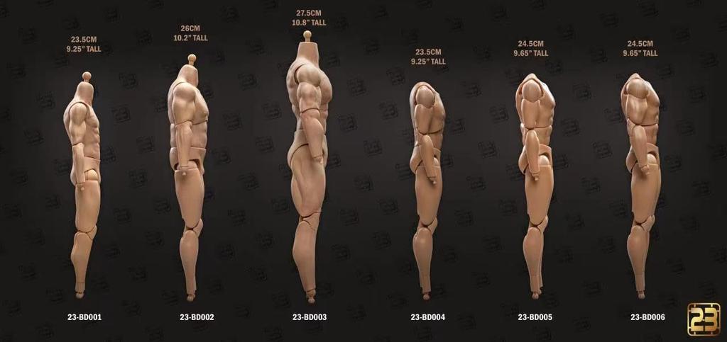 Toy Hobby [TOYBARJAPAN] 1/6 Scale Action Figure 23TOYS BD001/02/03/04/05/06 Male Action Body (Limbs Not Included) (23-BD004 23.5CM)
