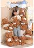 Barcelona Nighttime Bear Plush - Dorami Gift for Girlfriend