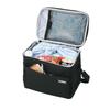 Thermos Soft Cooler 5L Ganz Schwarz Kühltasche Isolierung Faltbar und Kompakt Stoff Box Typ ALB 5-lagig Wasserabweisend RFD-0051