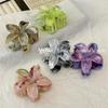 2024 High-End Elegant Frangipani Gradient Hair Claw: Colorful Shark Clip for Women