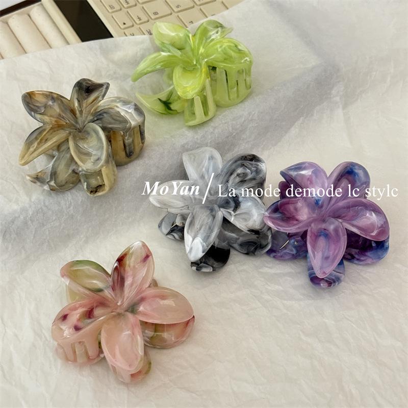 2024 High-End Elegant Frangipani Gradient Hair Claw: Colorful Shark Clip for Women
