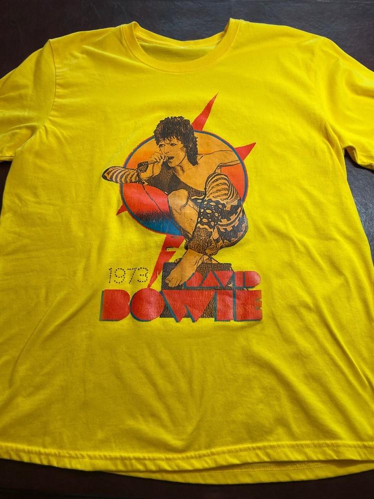 New David Bowie 1973 Gift For Fans Unisex S-5XL Shirt SS1491 Unisex T-Shirt XXXL