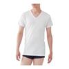 [Gunze] Inner Tops Comfort Workshop 100% Cotton Short Sleeve V Neck KQA115 Men's