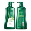 100 Years Runfa Oil Control & Hair Care Shampoo Set