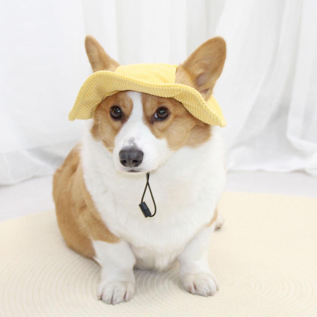Pet Sun Soft Comfortable Lightweight Cute Pet Sun Hat with Ear Holes for Cats Dogs