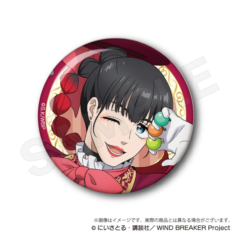 WIND BREAKER Trading Can Badges Magician Box Ver. 5-Piece