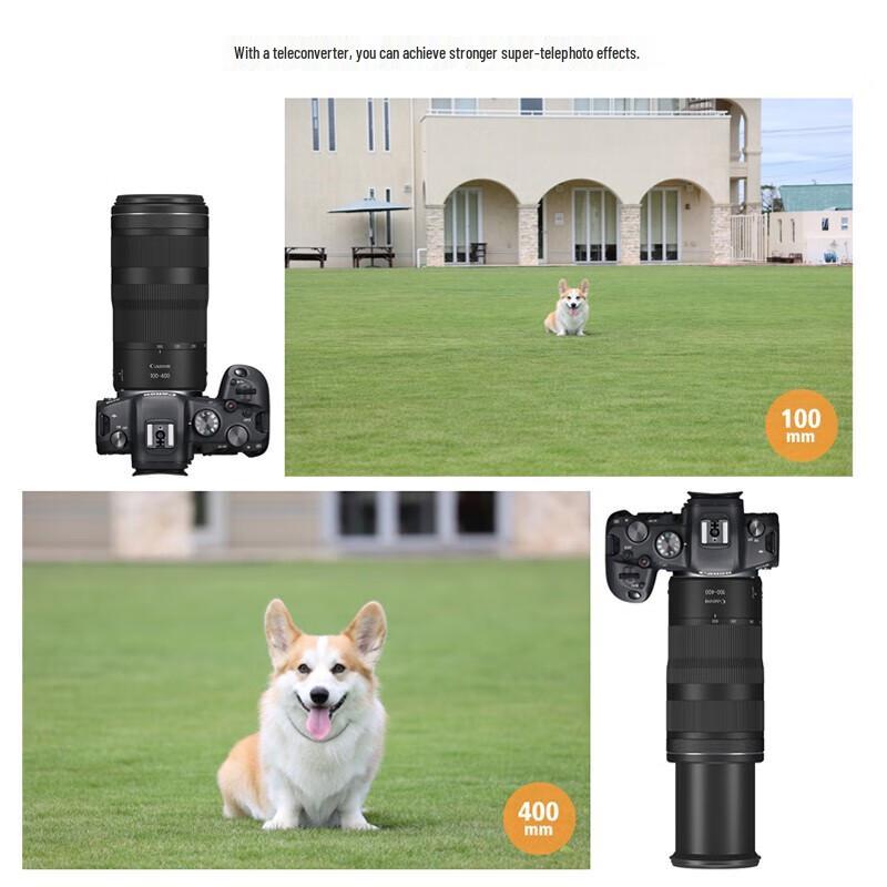 Canon RF 100-400mm F5.6-8 IS USM Telephoto Zoom Lens