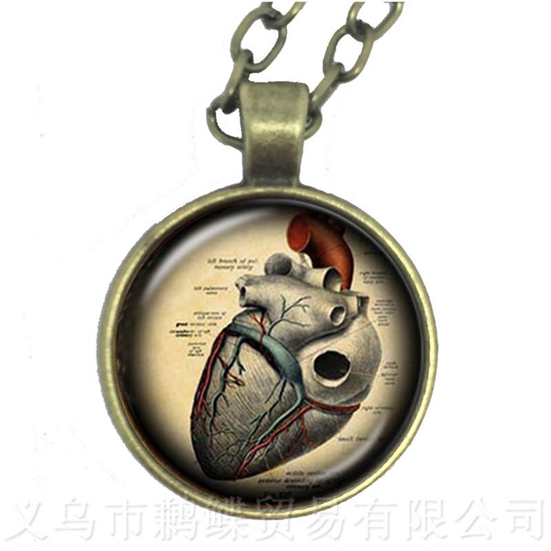 Human Anatomy Organ Necklace Glass Cabochon Science Medical Punk Brain Eye Jewelry Sweater chain Creative Gift