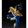 Figurine - TAMASHII NATIONS - Dragon Ball Z Vegeta - 24000 Power Level - 14 cm - 20 points d'articulation