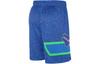 Nike Nba Milwaukee Bucks Swingman City Edition Dri Fit Shorts DX8709-406