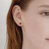 Cardi Silver 925 Simple Earrings Color Cubic Zirconia Earrings