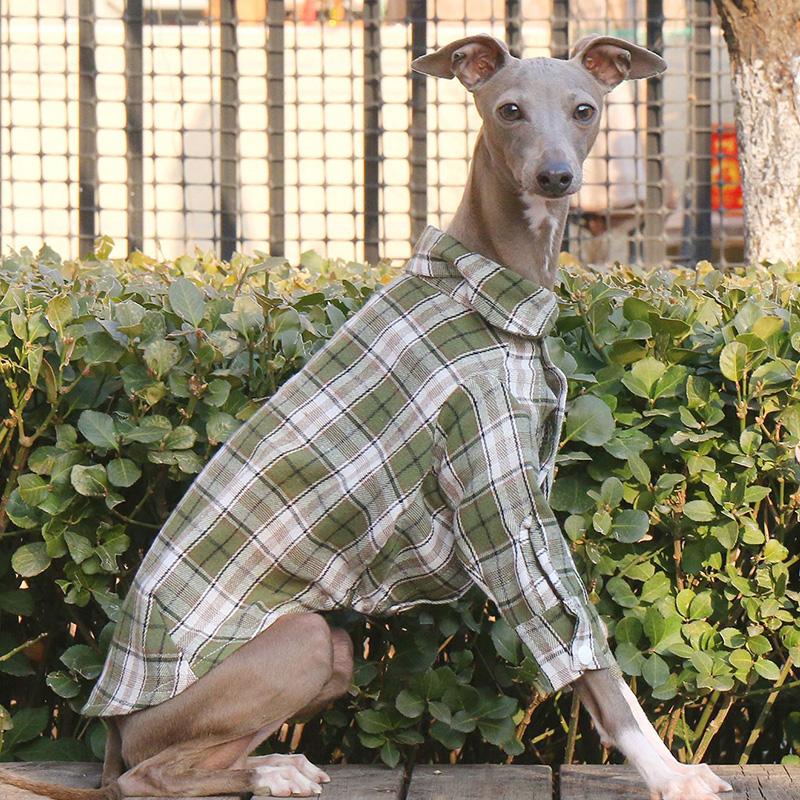 

Dog Shirt Spring New Plaid Dog Cotton Shirts Soft Cotton Button Up Fashion Pet Clothing Dog Coat for Italian Greyhound S-3XL S