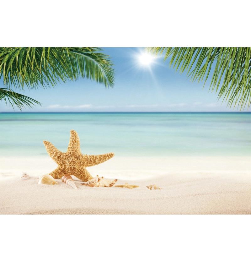 Decorazione Sfondo Spiaggia Tropicale Conchiglia Stella Marina Vacanza Estiva Per Festa in Piscina Sfondi Per Fotografie