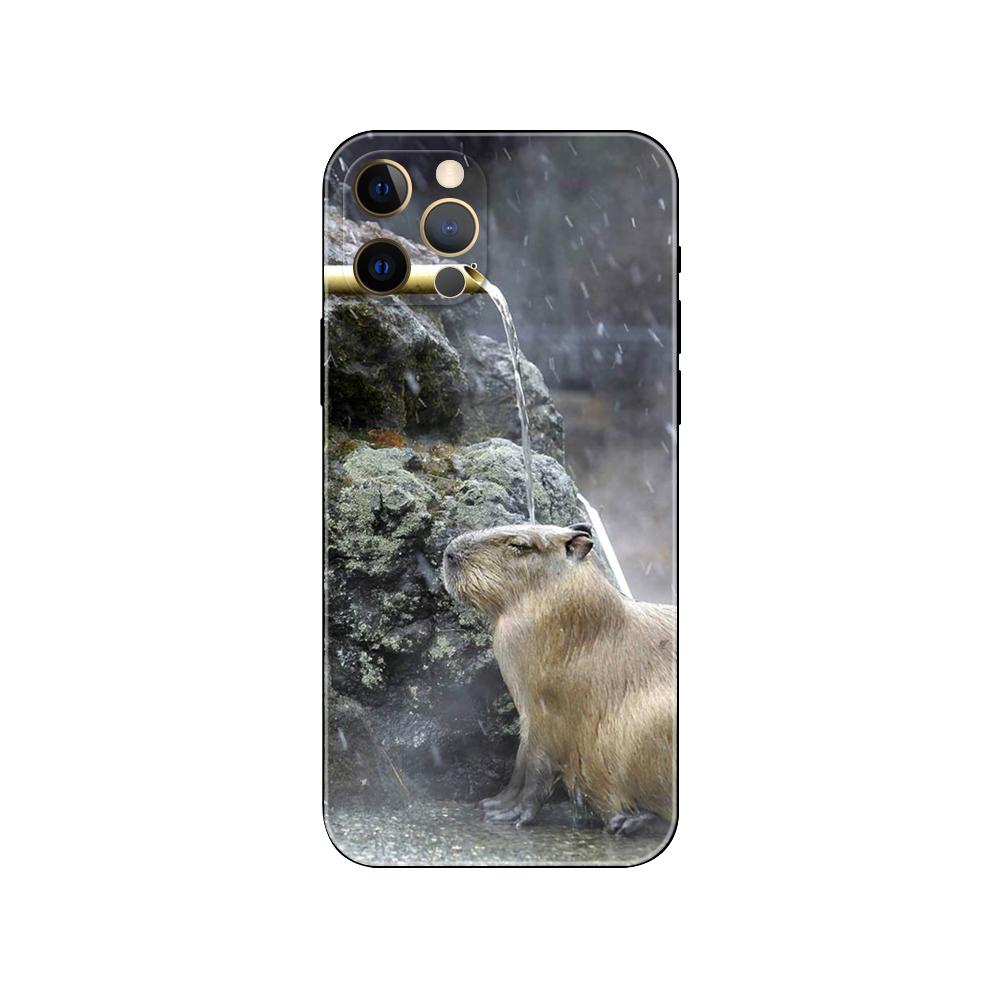 Capybara pouzdro na telefon pro iPhone 5 5s 2020se 6 6s 7 8 plus x 10 XR XS 11 12 13 mini pro MAX černý zadní kryt TPU