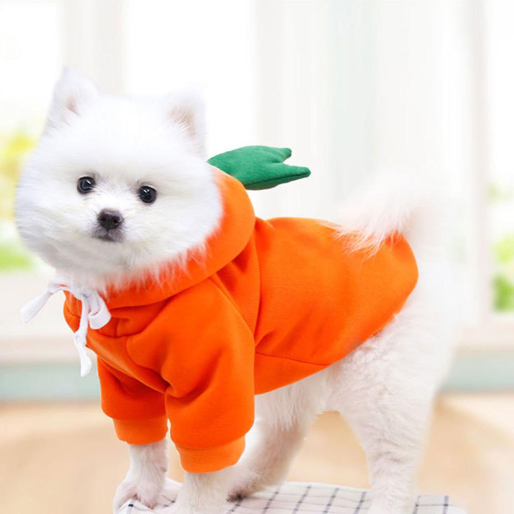 Puppy Kitten Sweaters with Hat for French Bulldog Cute Fruit Shaped Cats Hoodies