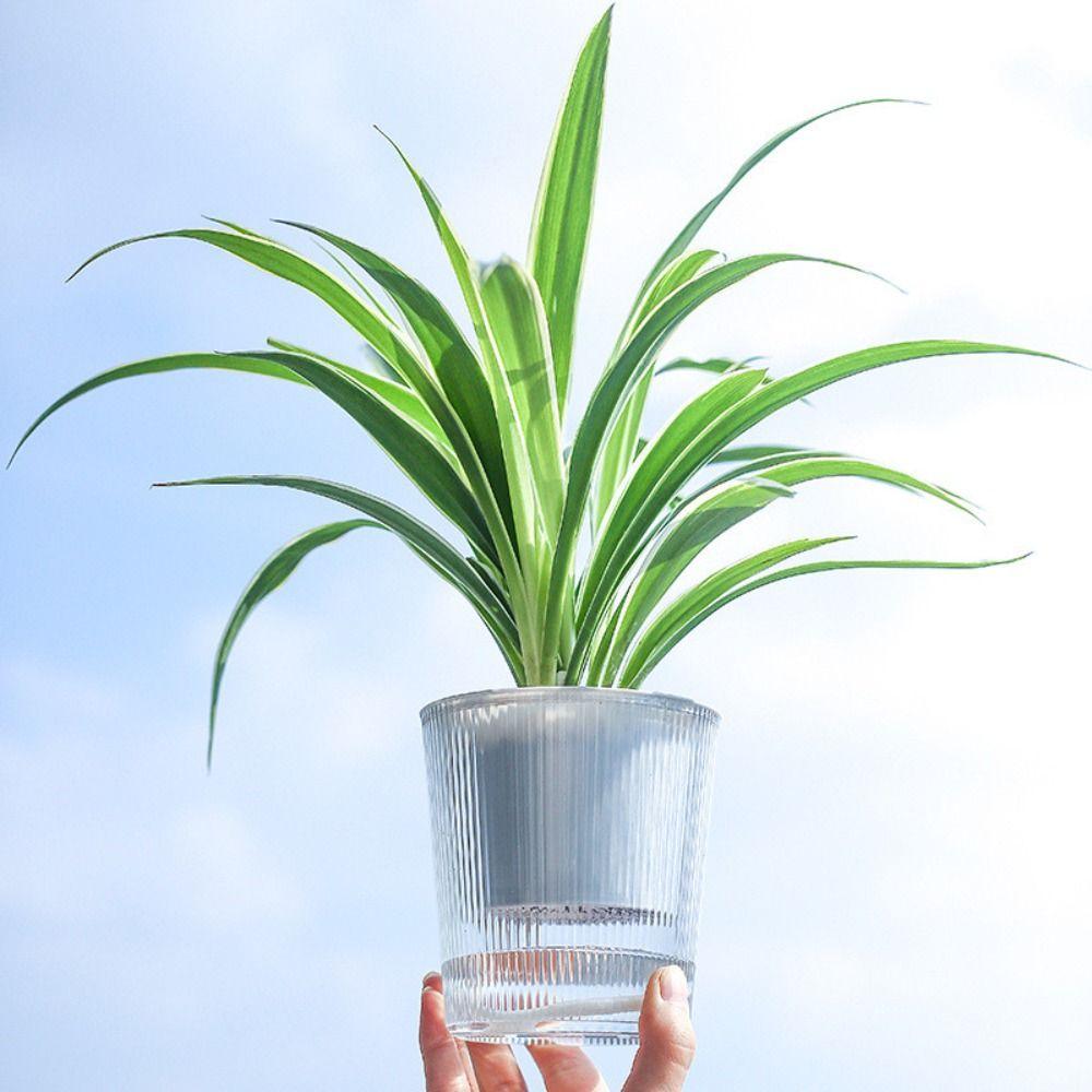 Succulent plant Hydroponics Watering Planter Self Watering Flower Pot Lazy Flowerpot Self-watering