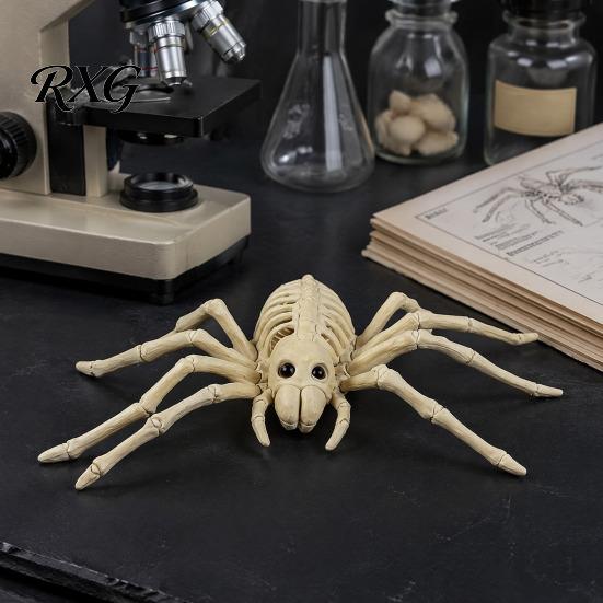 Reusable Halloween Skull Animal Skeleton, Realistic Fish Bird Spider Snake Cat Skeleton Model for Party, Haunted House, Graveyard Scene Decoration