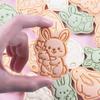 8Pcs Easter Rabbit Cookie Molds Bunny Carrot Easter Egg Cookie Cutters Pastry Fondant Mould Biscuit Stamp Mold Baking Tools Gift