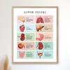 Menschlicher Körper Poster Gesundheitserziehung Drucke Anatomie Poster Organe Tabelle Anatomie Skelett Homeschool Dekor Pädagogischer Druck Poster