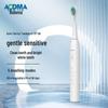 AODMA DY-156 Sonic Electric Toothbrush CN Plug (adapter Included)