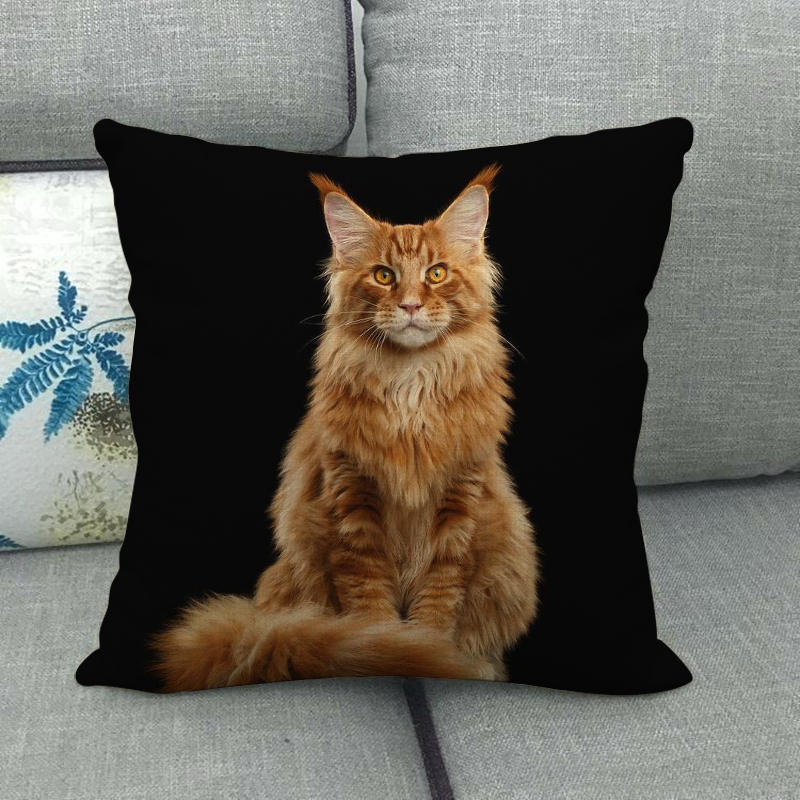Uroczy zwierzęcy nadruk z kotem seria Sofa kreatywna poduszka prosta poduszka domowa impreza samochód