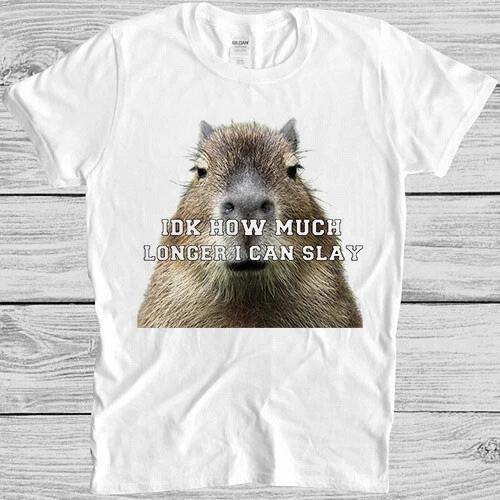 Idk How Much Longer I Can Slay Capybara Sarcastic Dan Meme Gift Tee T Shirt M945 L
