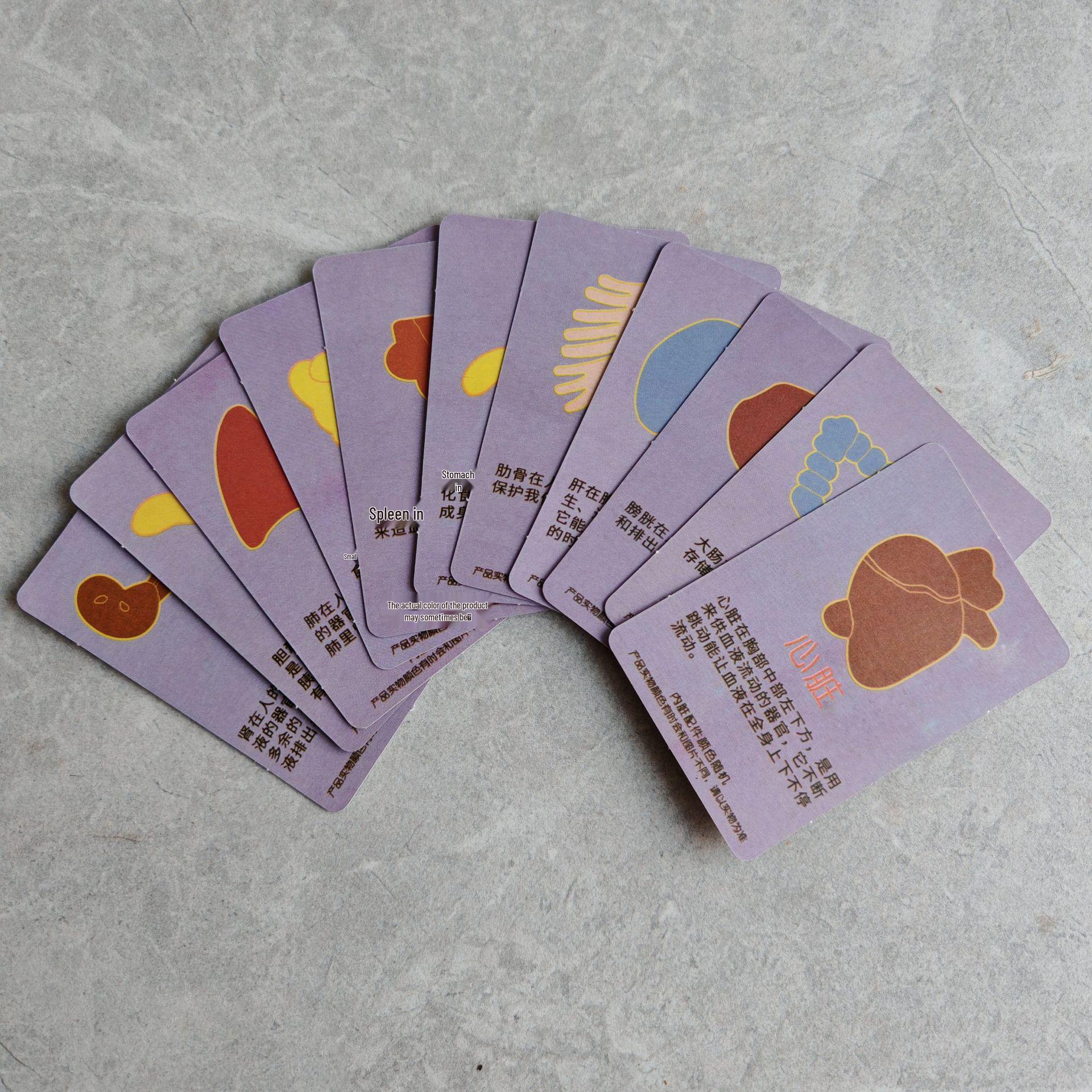 DIY Human Body Model for Medical Education and Science Experiments