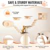 Wall Mounted Cat Shelves Tree with Jumping Boards Nests Hammock Set of 7