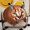 Oreiller Chat Caracal en Peluche Douce Réaliste à Poil Long pour Cadeau d'Enfant et Décoration de Maison