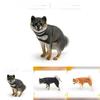 Pvc Realistic Shiba Inu Puppy Figure For Childrens Cognitive Play Animal Decor