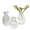 Internet Celebrity Style Transparent Glass Vase for Hydroponic Flower Arrangements - Gypsophila Display for Living Room or Dining Table